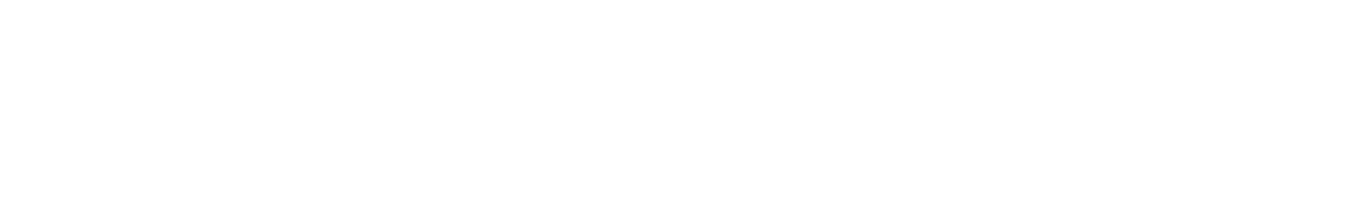 Portal Page